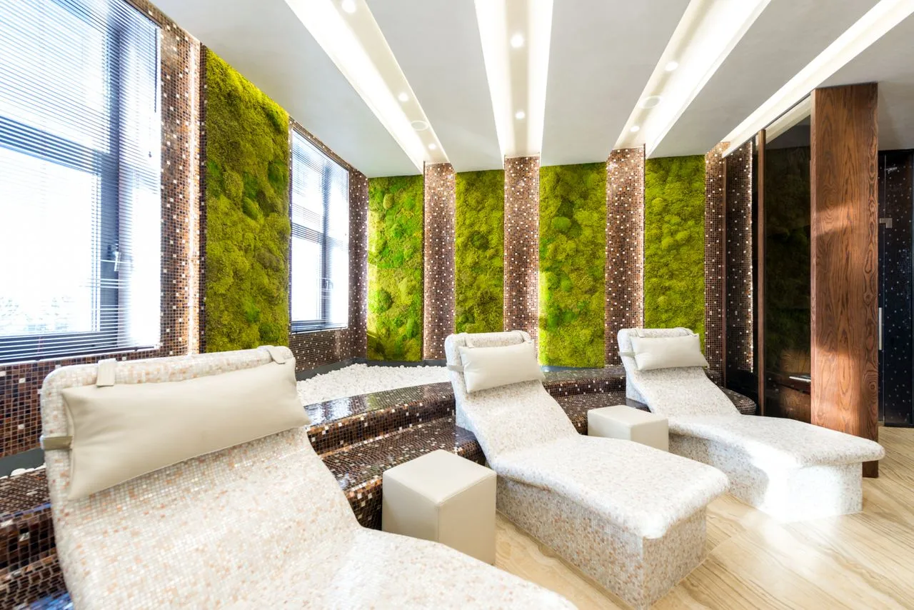 Relaxing spa retreat and wellness treatment room